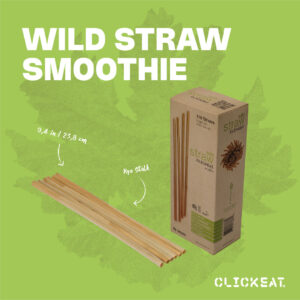 Sorbete de Centeno WILD STRAW